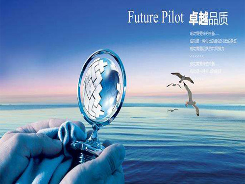 濟(jì)南誠雅電子